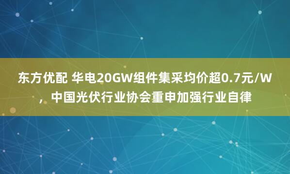 东方优配 华电20GW组件集采均价超0.7元/W，中国光伏行业协会重申加强行业自律